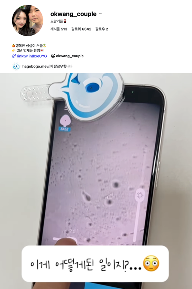 influencer 4